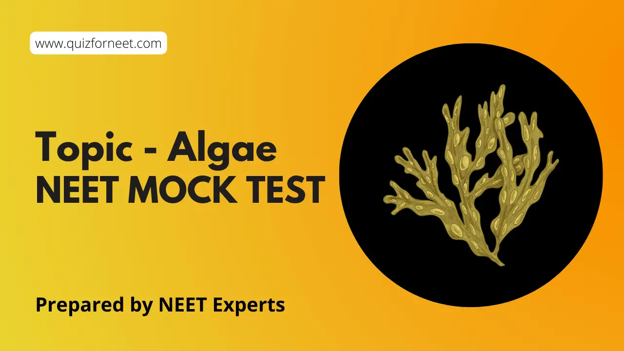 Algae NEET Mock Test